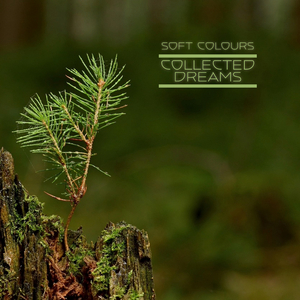 山东农村老肥熟口味重
